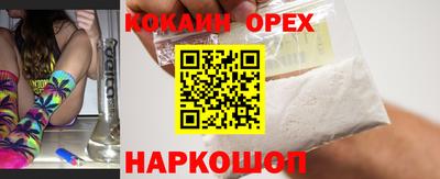 крисы Коммунар
