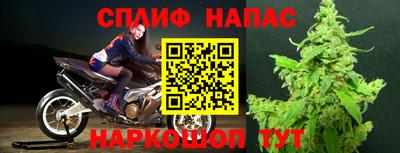 крисы Коммунар
